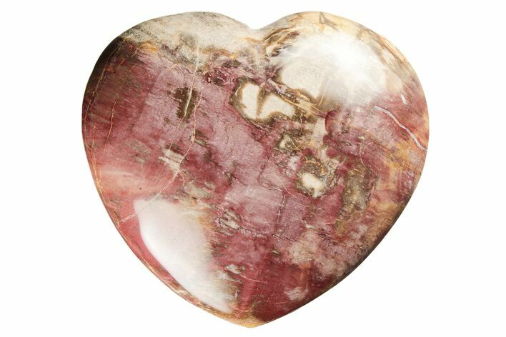 Polished Triassic Petrified Wood Heart - Madagascar #194884